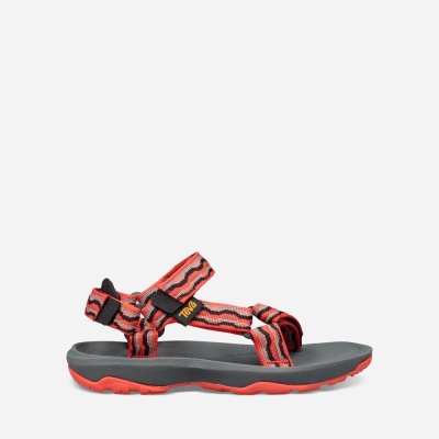 Teva Hurricane XLT 2 - Kids' Teva Hiking Sandals - Red | India (JEGB57412)